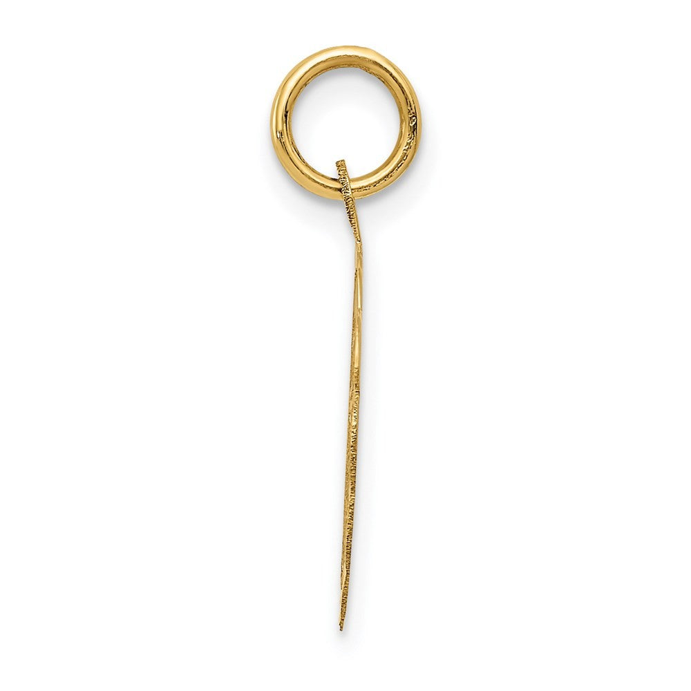 14k Yellow Gold A DATE TO REMEMBER Disc Charm