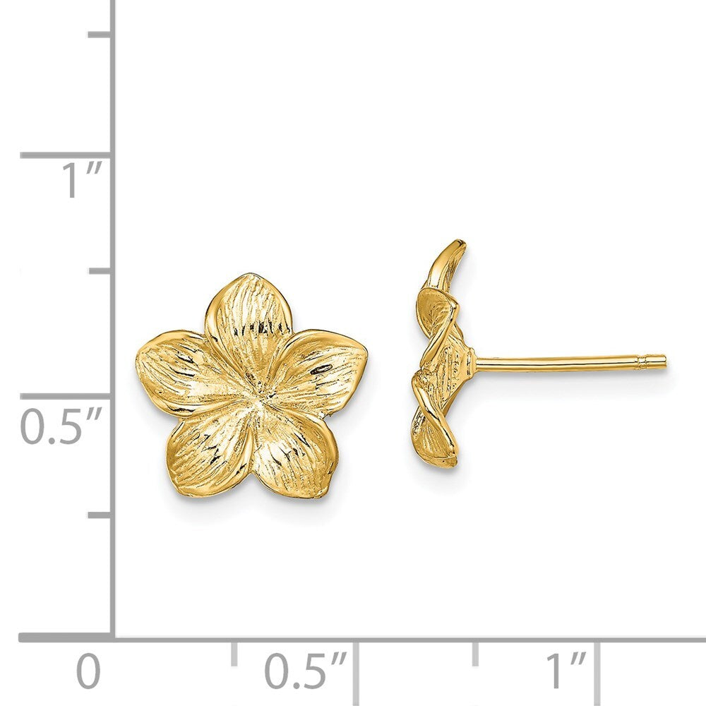14k Yellow Gold Plumeria Flower Stud Earrings Gift for Women