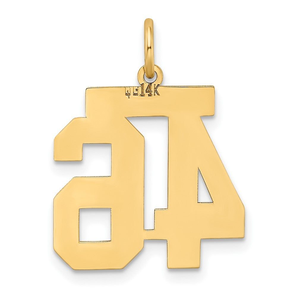 14k Yellow Gold Medium Satin Number 46 Charm Pendant