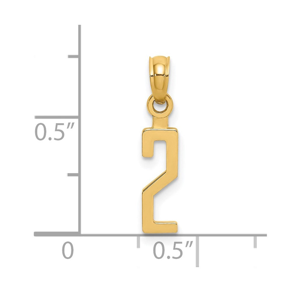 14k Yellow Gold Polished Number 2 Pendant