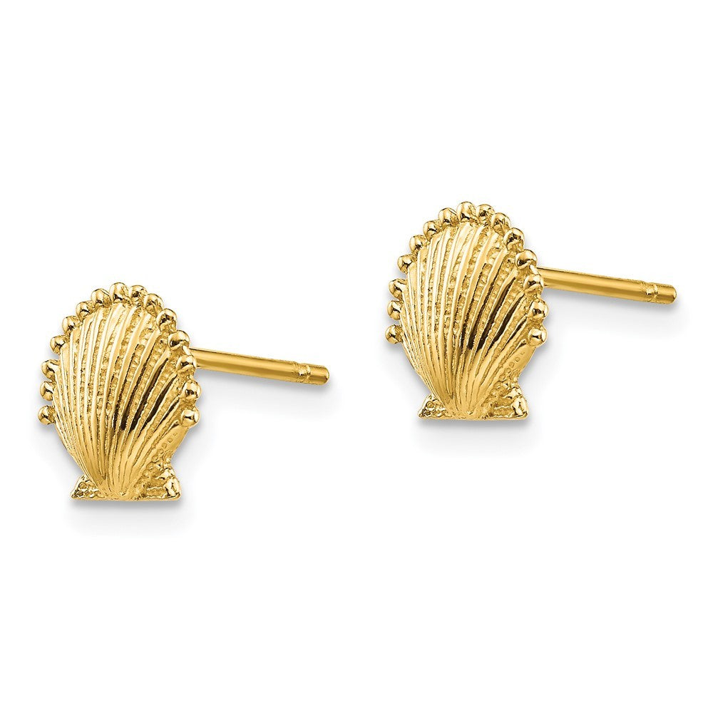 14k Yellow Gold Scallop Shell Earrings
