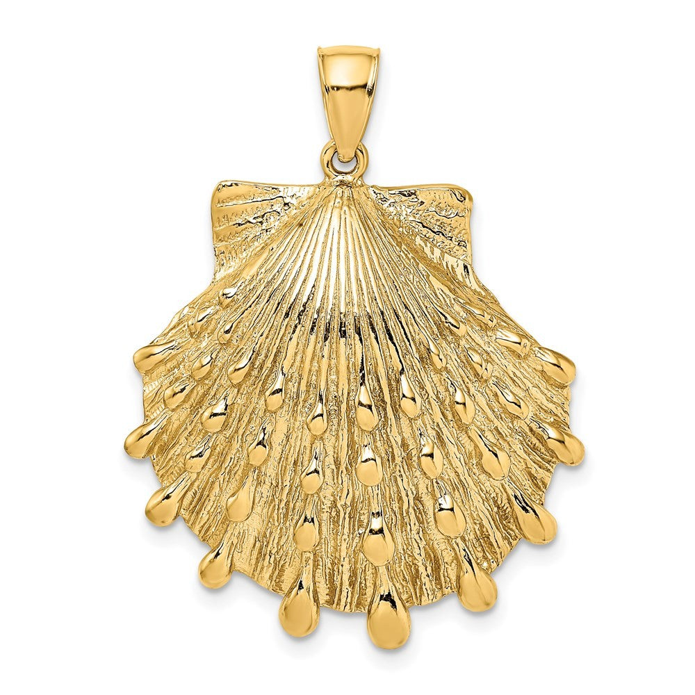 14k Yellow Gold Lion's Paw Shell Charm