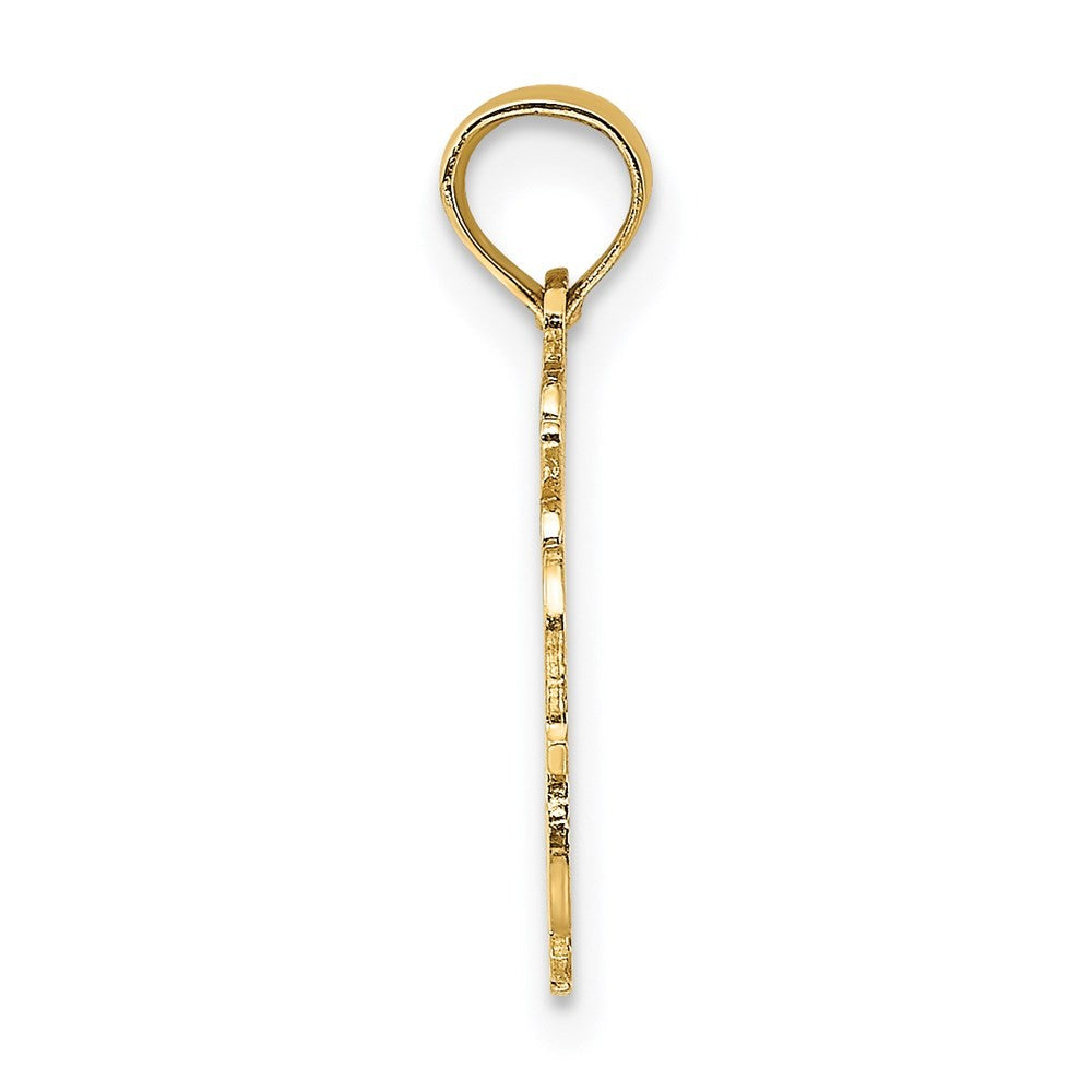 14k Yellow Gold 100% AQUARIUS Zodiac Charm