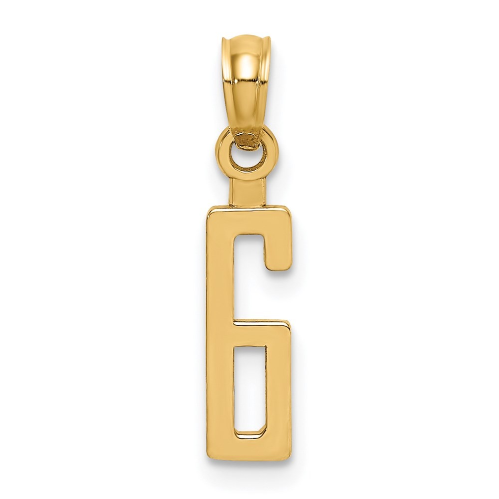 14k Yellow Gold Polished Number 6 Pendant