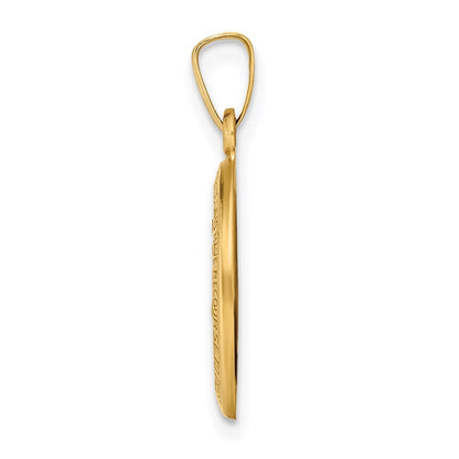 14k Yellow Gold Polished and Satin Miraculous Medal Hollow Pendant for Women