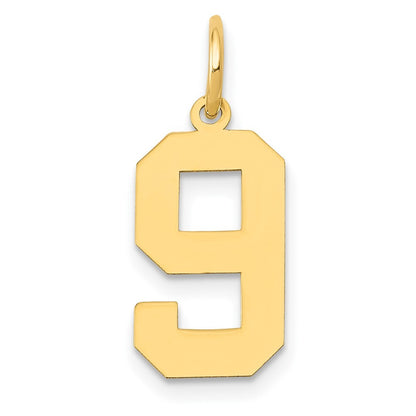 14k Yellow Gold Medium Polished Number 9 Charm
