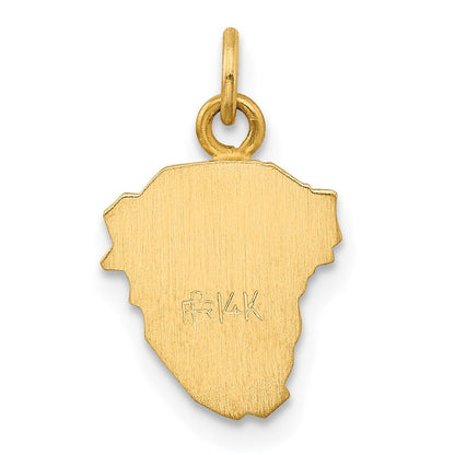 14k Yellow Gold Hollow Polished/Satin Small Jesus Medal Pendant for Women