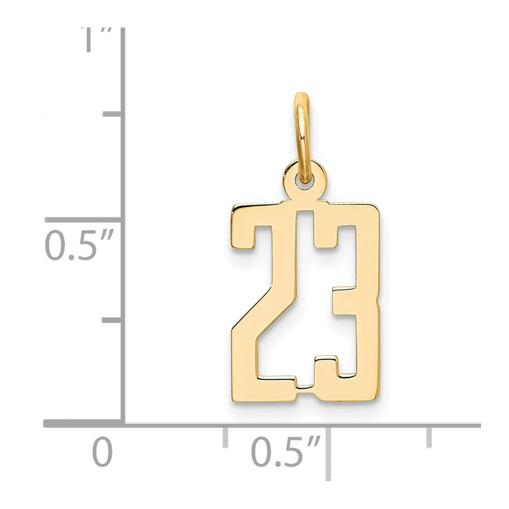 14k Yellow Gold Small Elongated Number 23 Charm Pendant for Women
