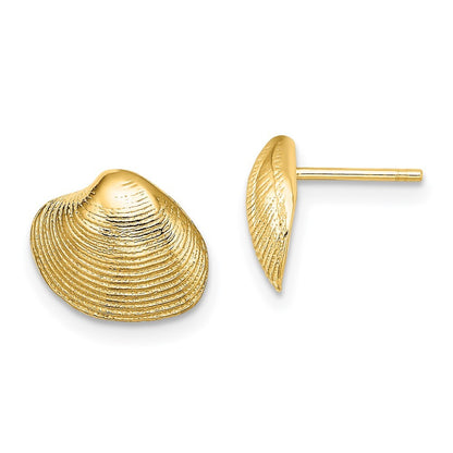 14k Yellow Gold Clam Shell Stud Earrings Gift for Women