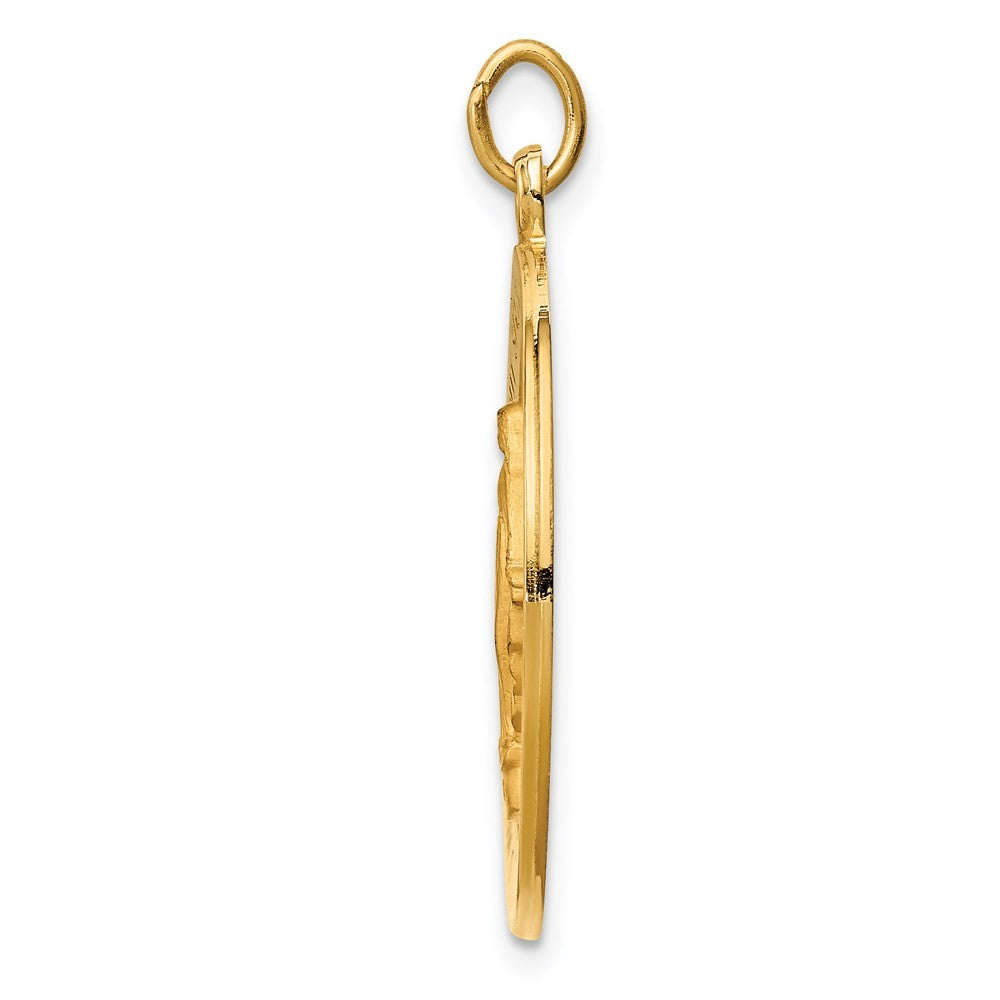 14k Yellow Gold Solid Polished Satin Round Miraculous Medal