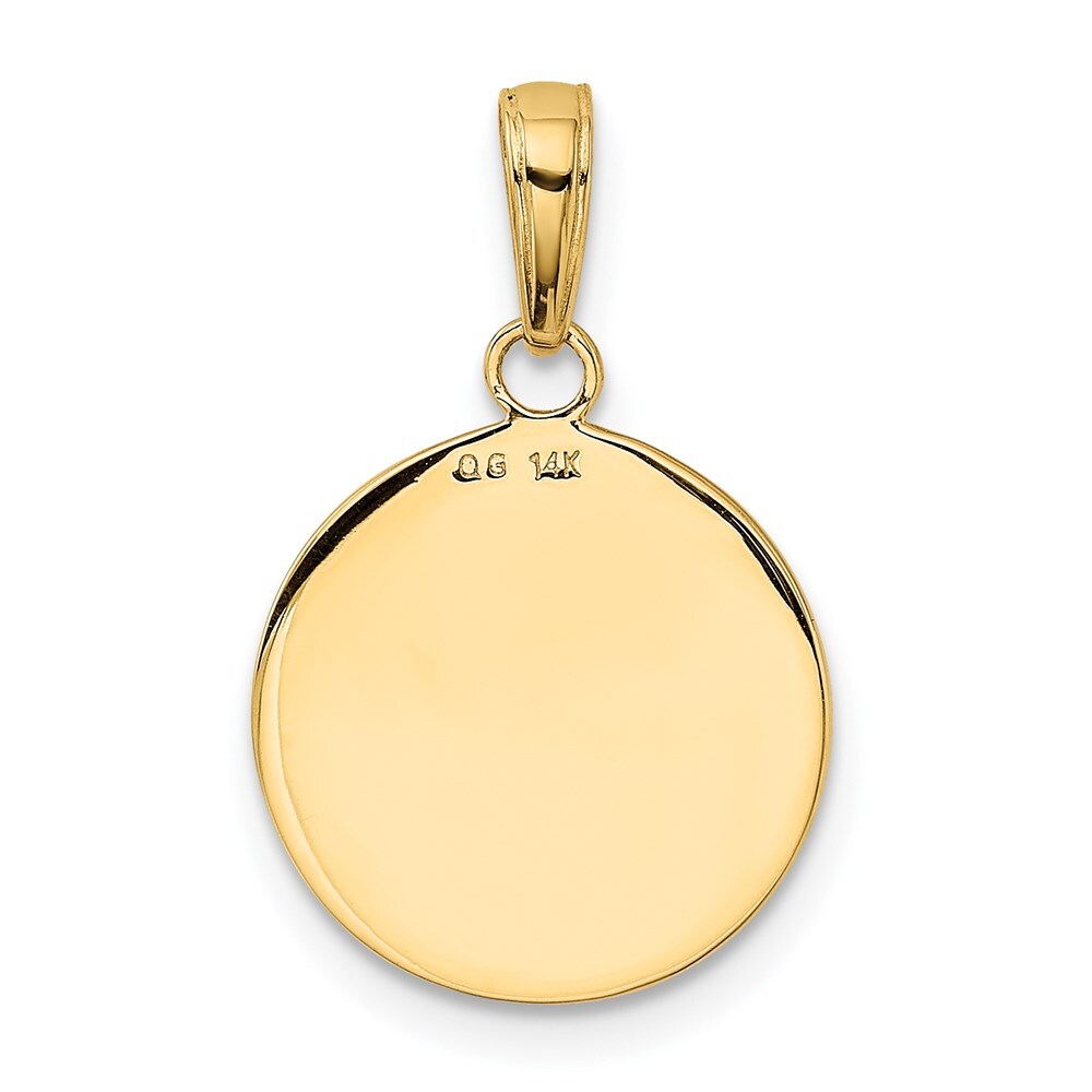 14k Yellow Gold Gold Satin And Polished Saint Francis Medal Pendant for Women