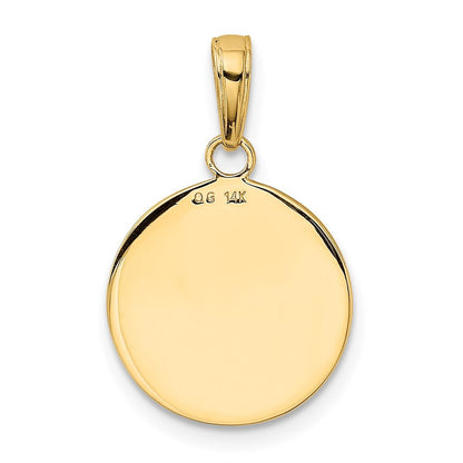 14k Yellow Gold Gold Satin And Polished Saint Francis Medal Pendant for Women