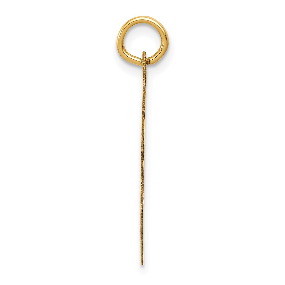 14k Yellow Gold Wrestling Scalloped Edge Disc Charm Pendant for Women