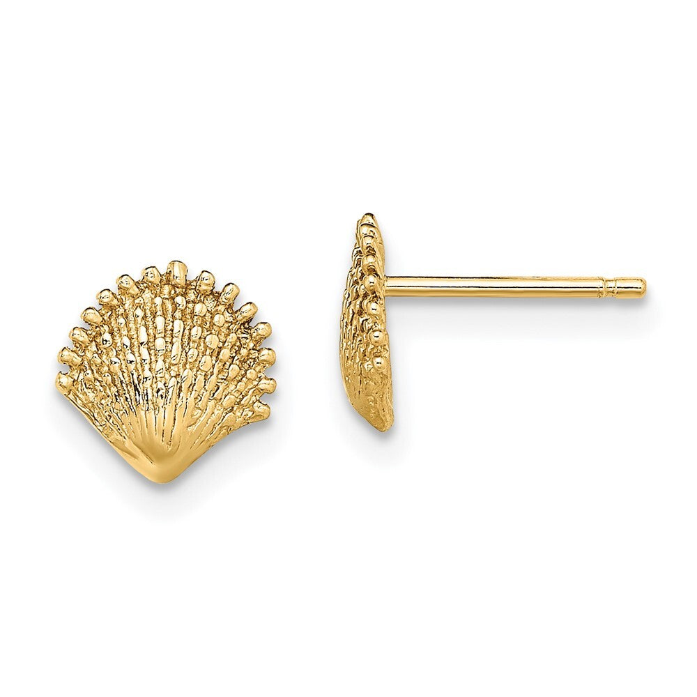 14k Yellow Gold Scallop Shell Stud Earrings Gift for Women