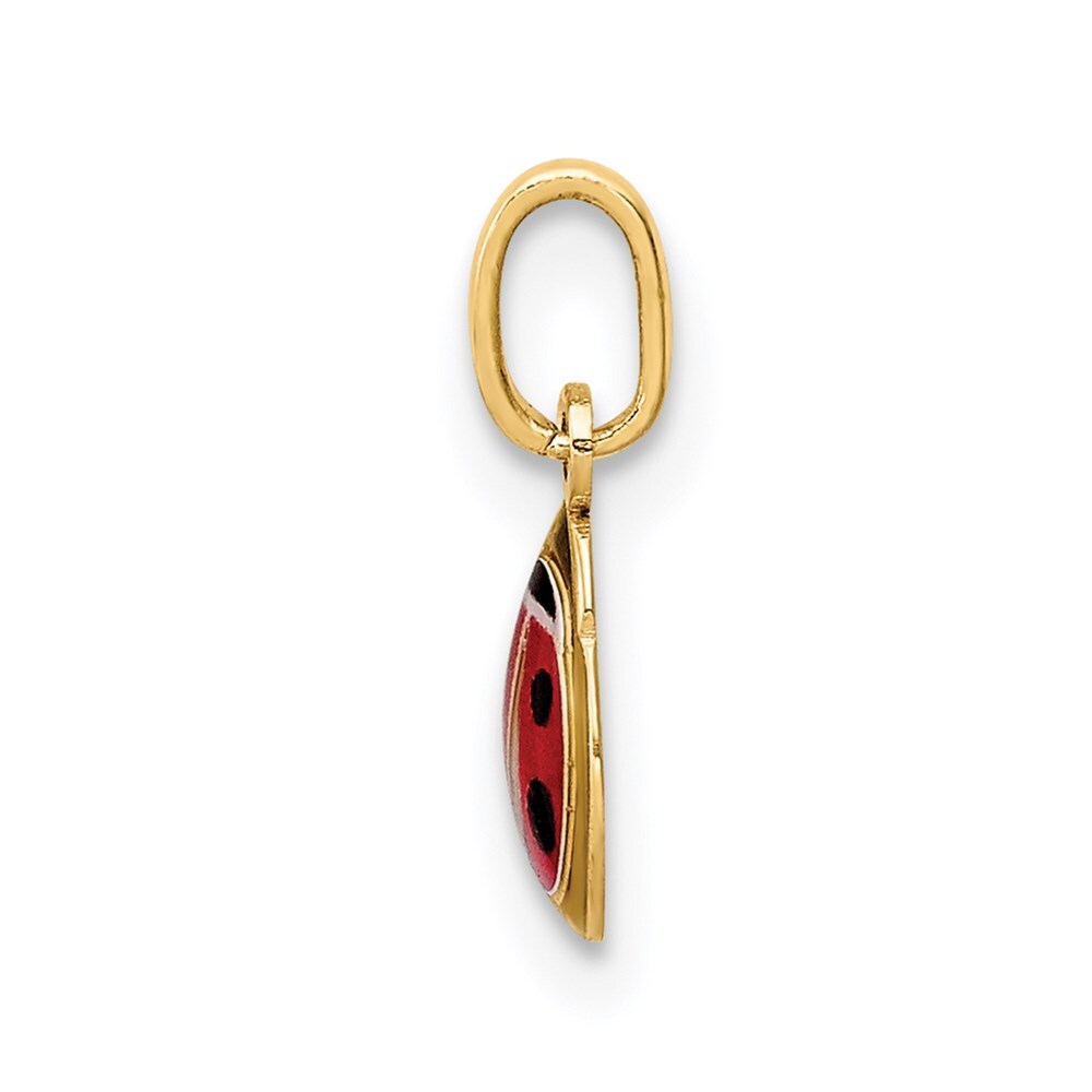 14k Yellow Gold Enamel Ladybug Charm Pendant for Women