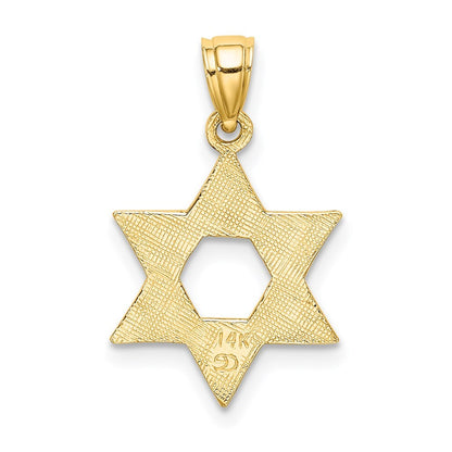 14k Yellow Gold Engraved Swirls Star Of David Charm Pendant for Women