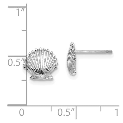 14K White Gold Scallop Shell Stud Earrings Gift for Women