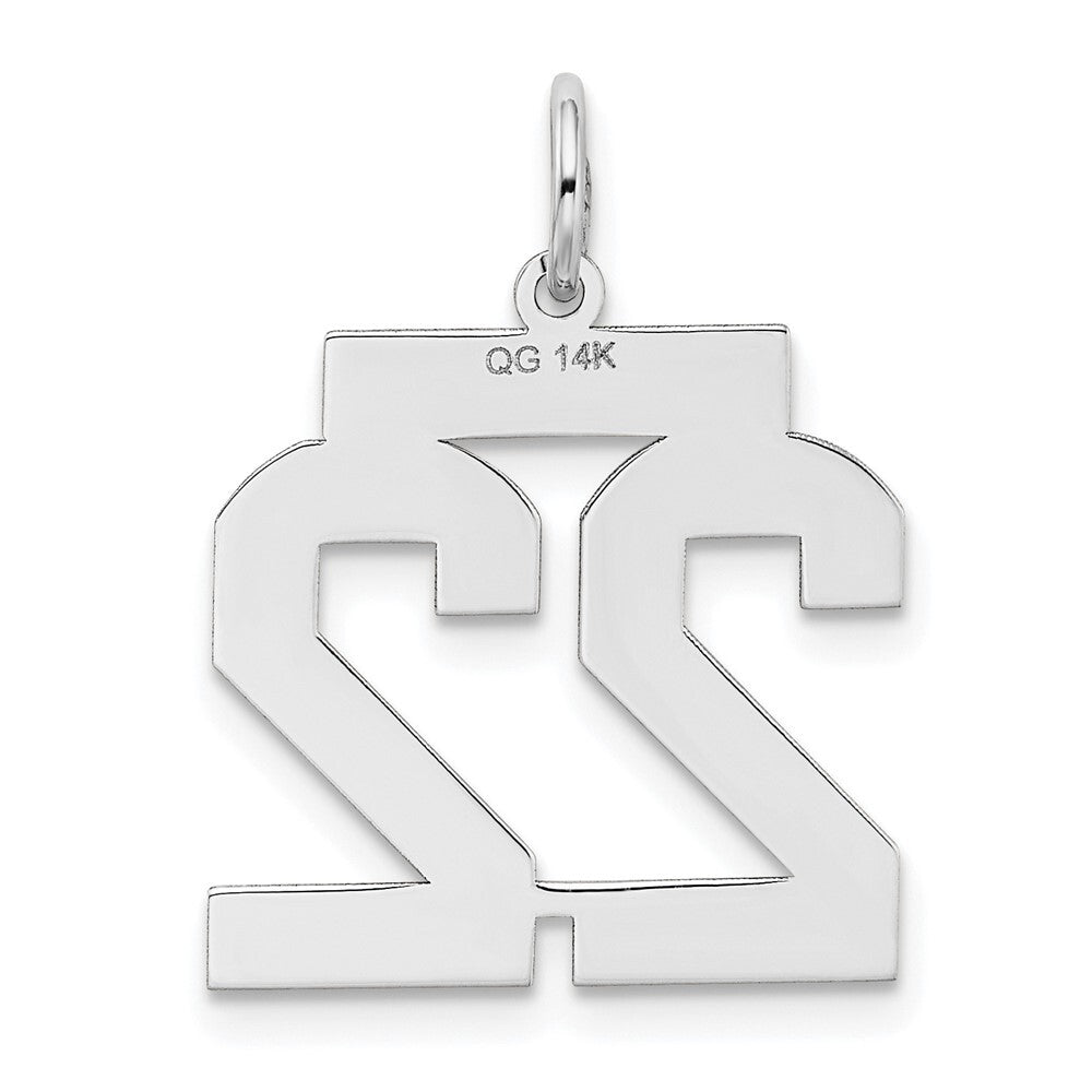 14k White Gold Medium Satin Number 22 Charm Pendant for Women