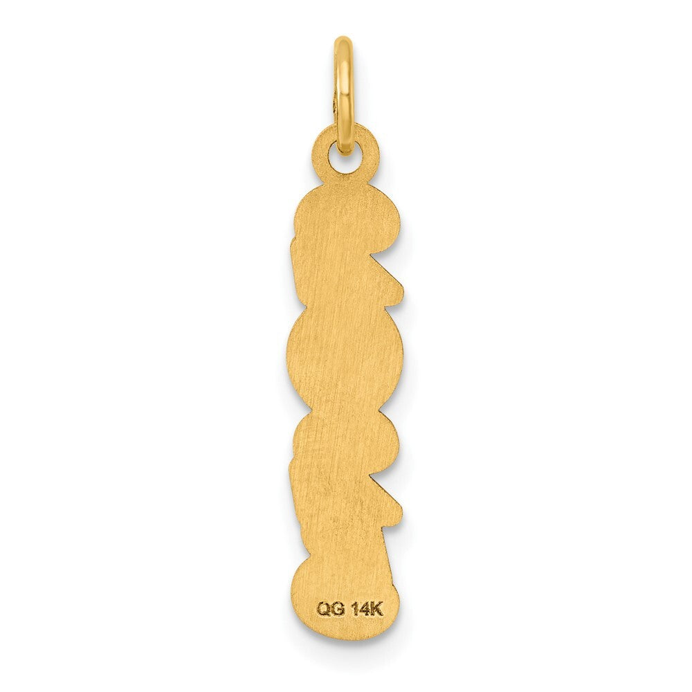 14k Yellow Gold Polished and Satin Vertical 2025 Charm