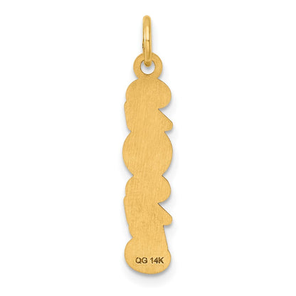 14k Yellow Gold Polished and Satin Vertical 2025 Charm