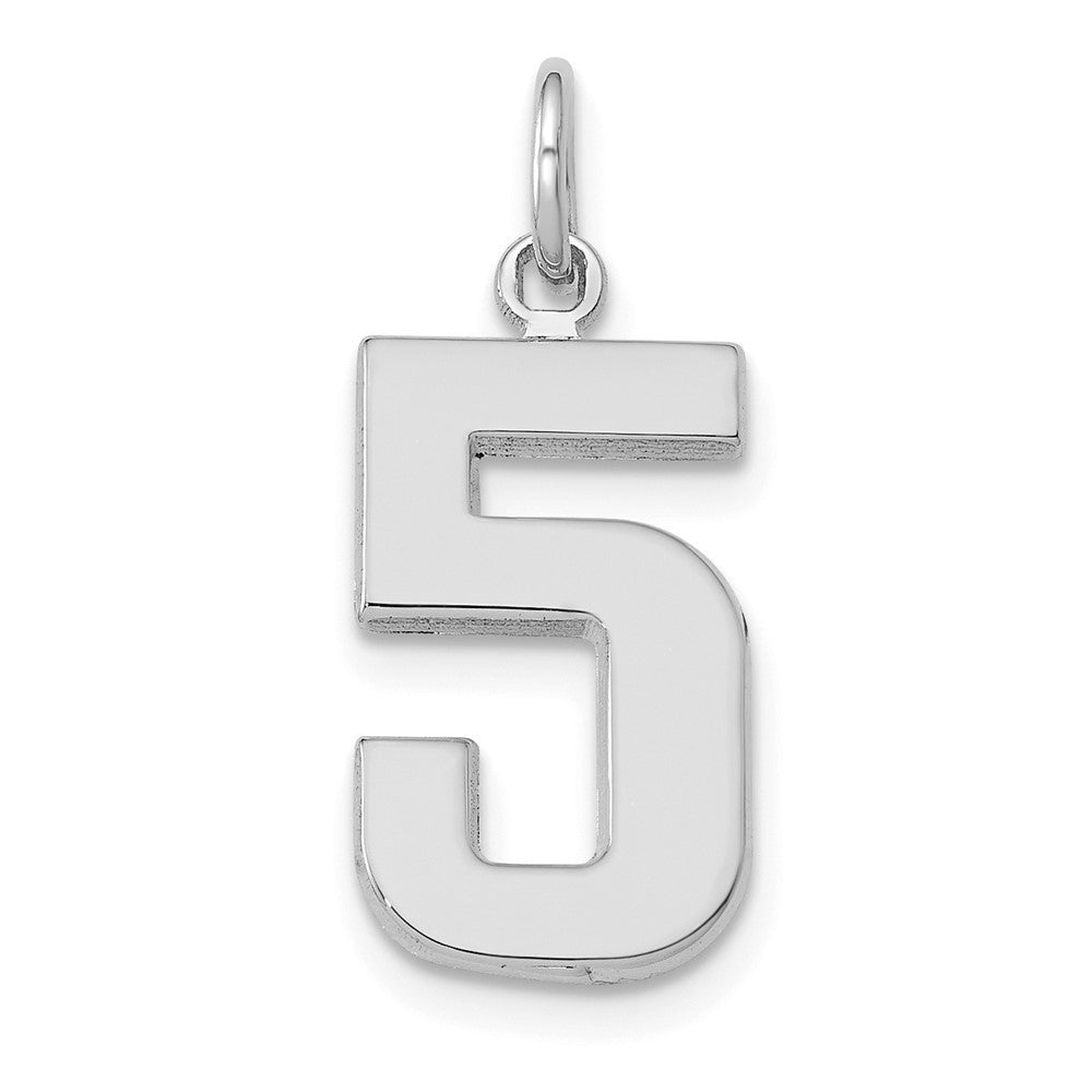 14K White Medium Polished Number 5 Charm