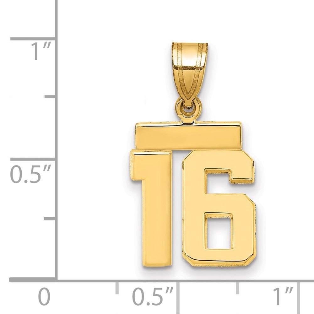 14k Yellow Gold Small Polished Number 16 Charm
