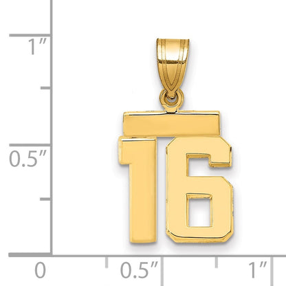 14k Yellow Gold Small Polished Number 16 Charm