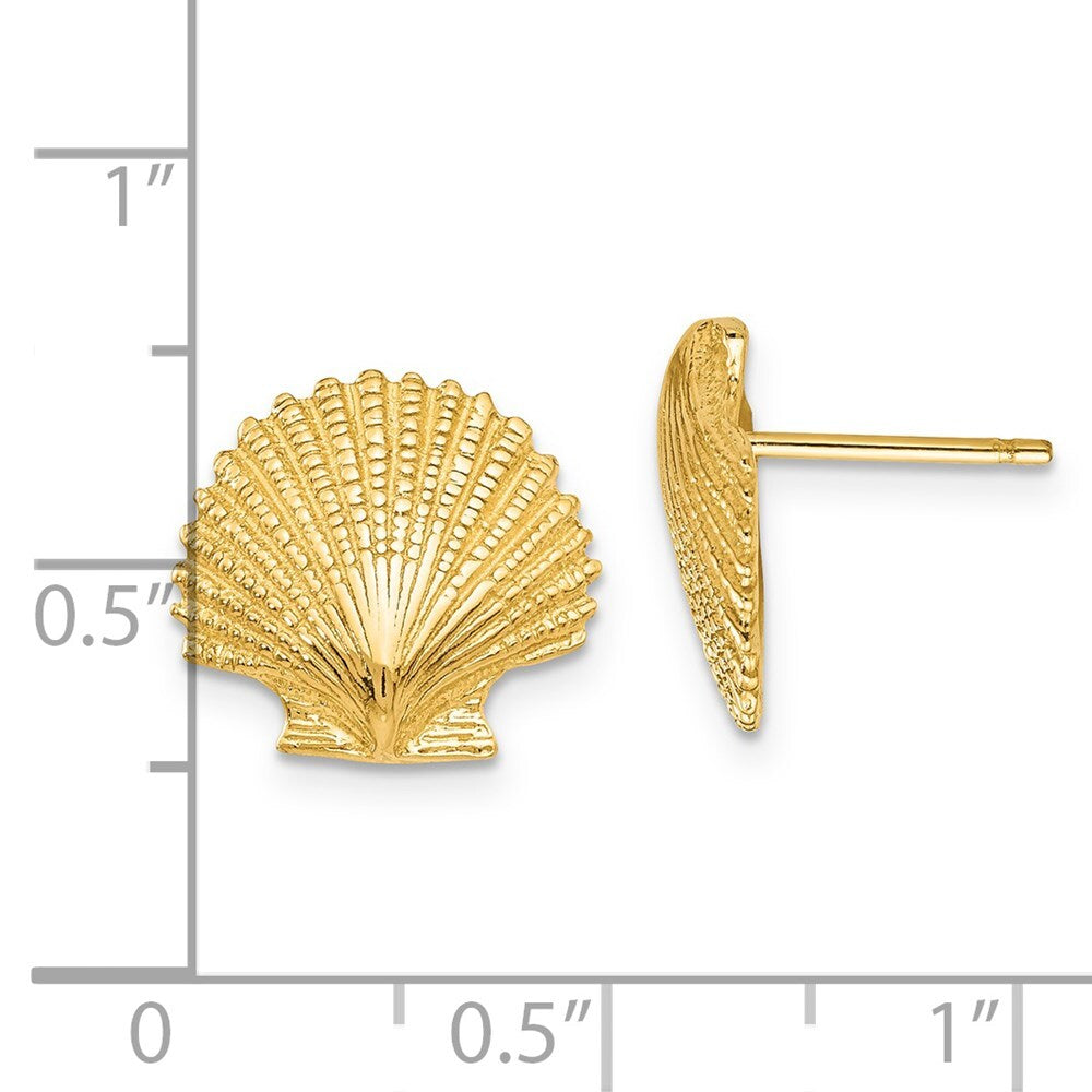 14k Yellow Gold Scallop Shell Stud Earrings