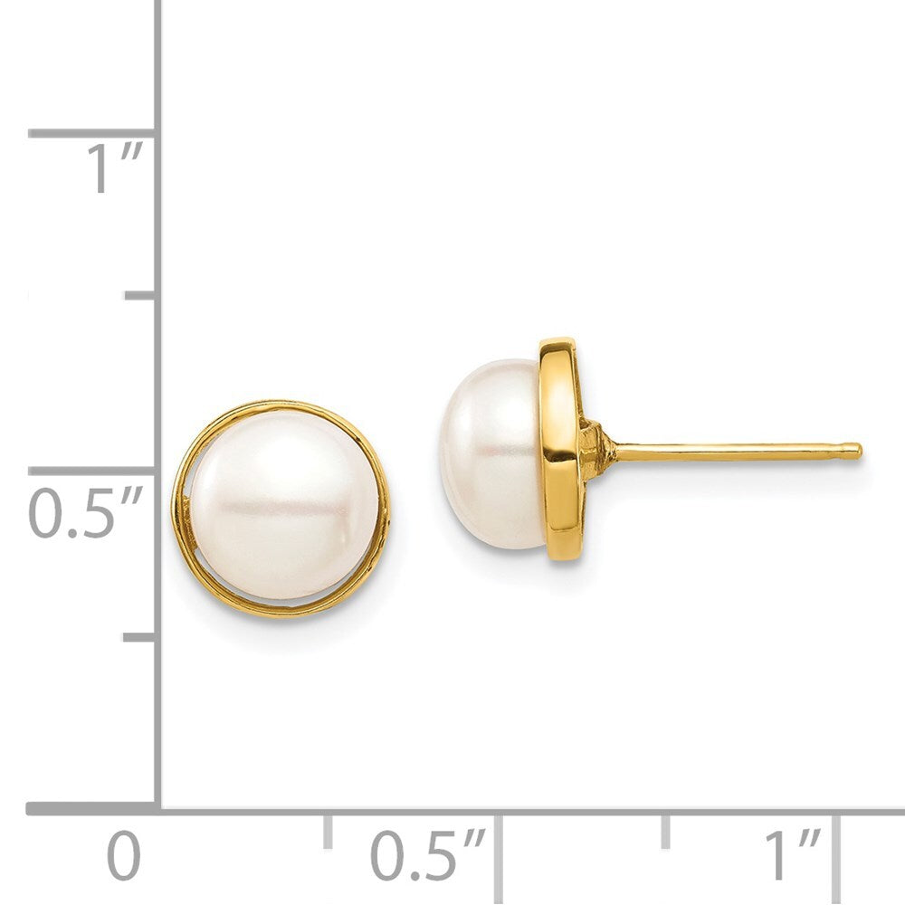 14k Yellow Gold 7-8mm White Button Freshwater Cultured Pearl Stud Earrings