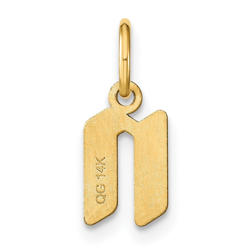 14k Yellow Gold Lowercase Letter N Initial Pendant for Women