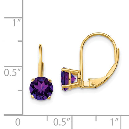 14k Yellow Gold 6mm Amethyst Leverback Earrings Gift for Women