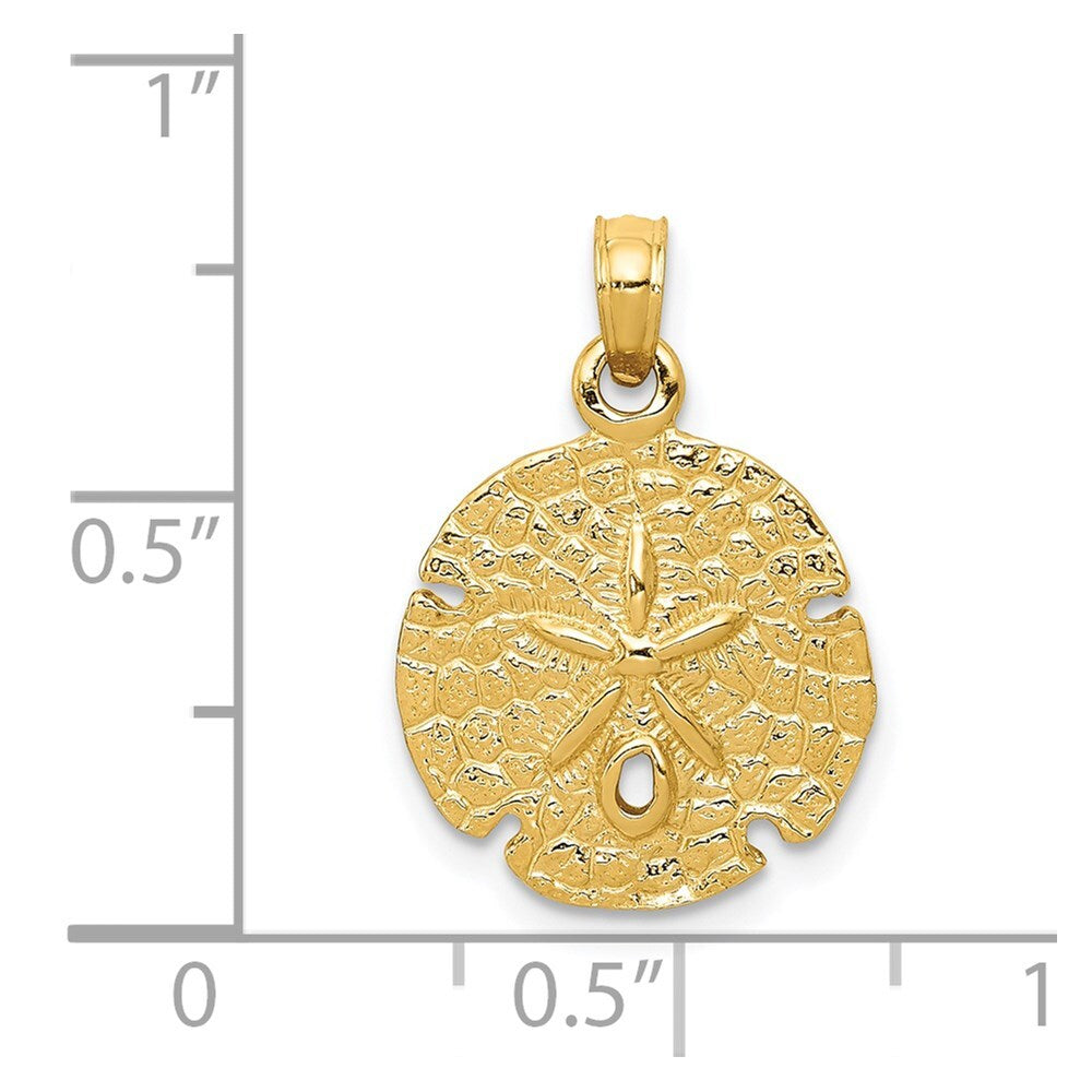 14k Yellow Gold Sand Dollar Pendant for Women