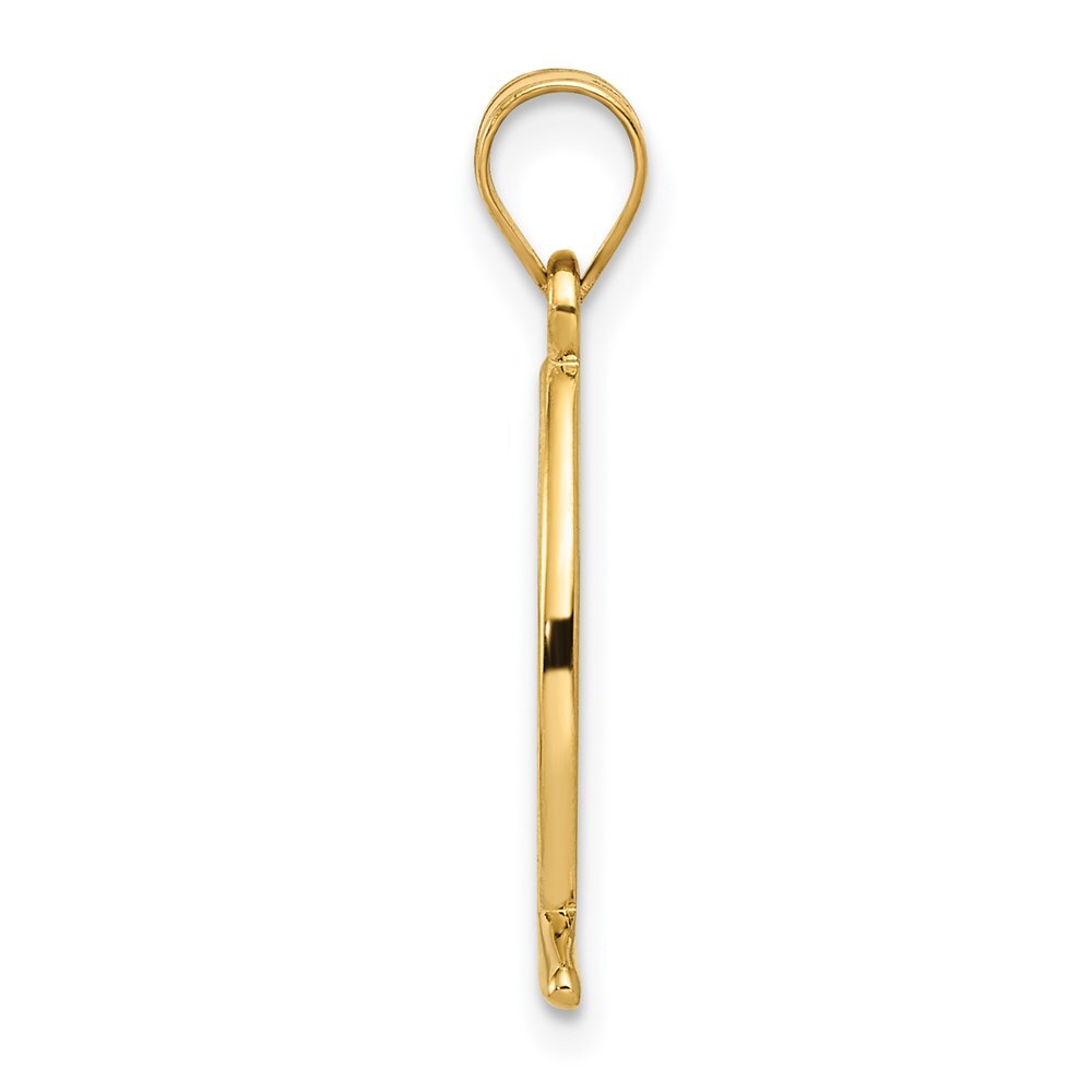 14k Yellow Gold Ichthus Fish Pendant for Women