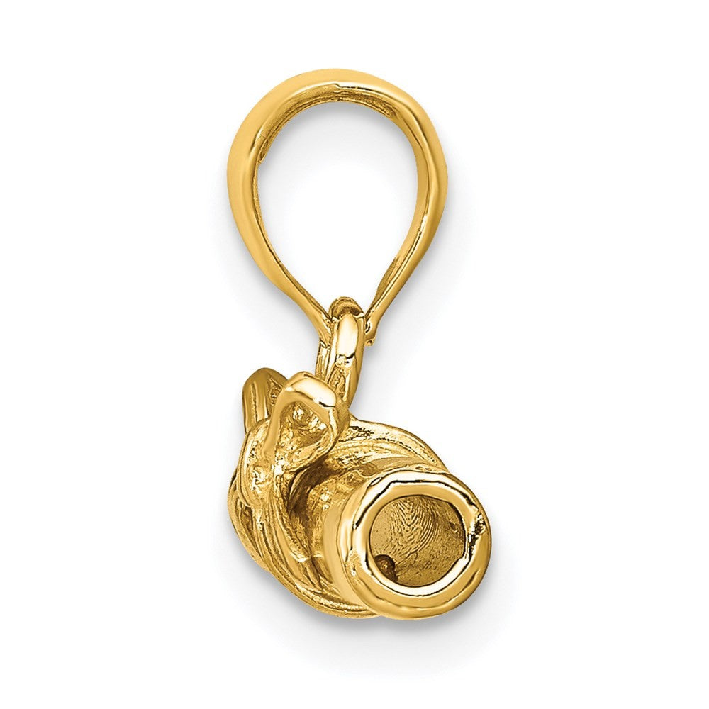 14k Yellow Gold 3-D Hollow Polished DIPLOMA Pendant