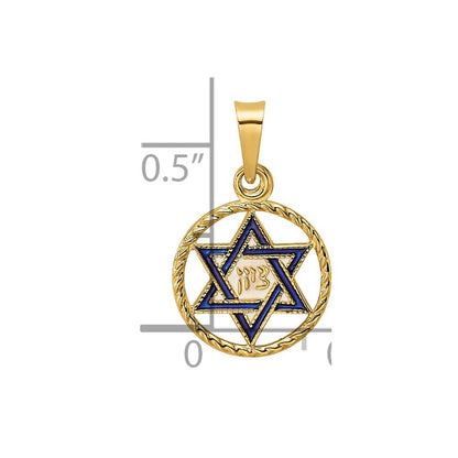 14k Yellow Gold Polished Solid Enameled Star of David in Frame Pendant