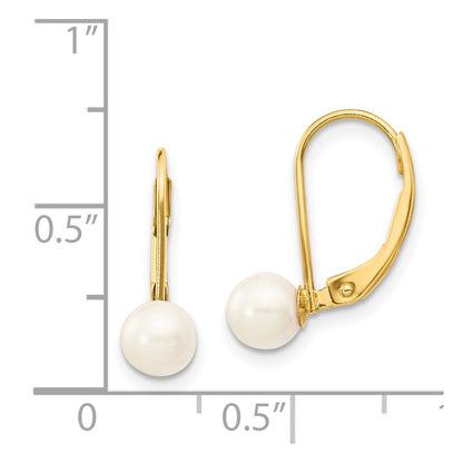 14k Yellow Gold 5-6mm Akoya Saltwater Cultured Pearl Leverback Earrings