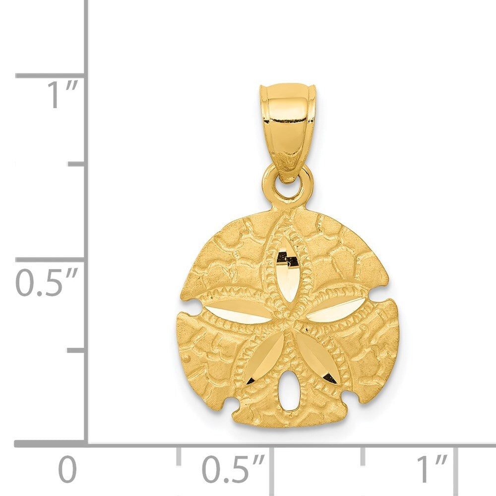 14k Yellow Gold Sand Dollar Pendant for Women