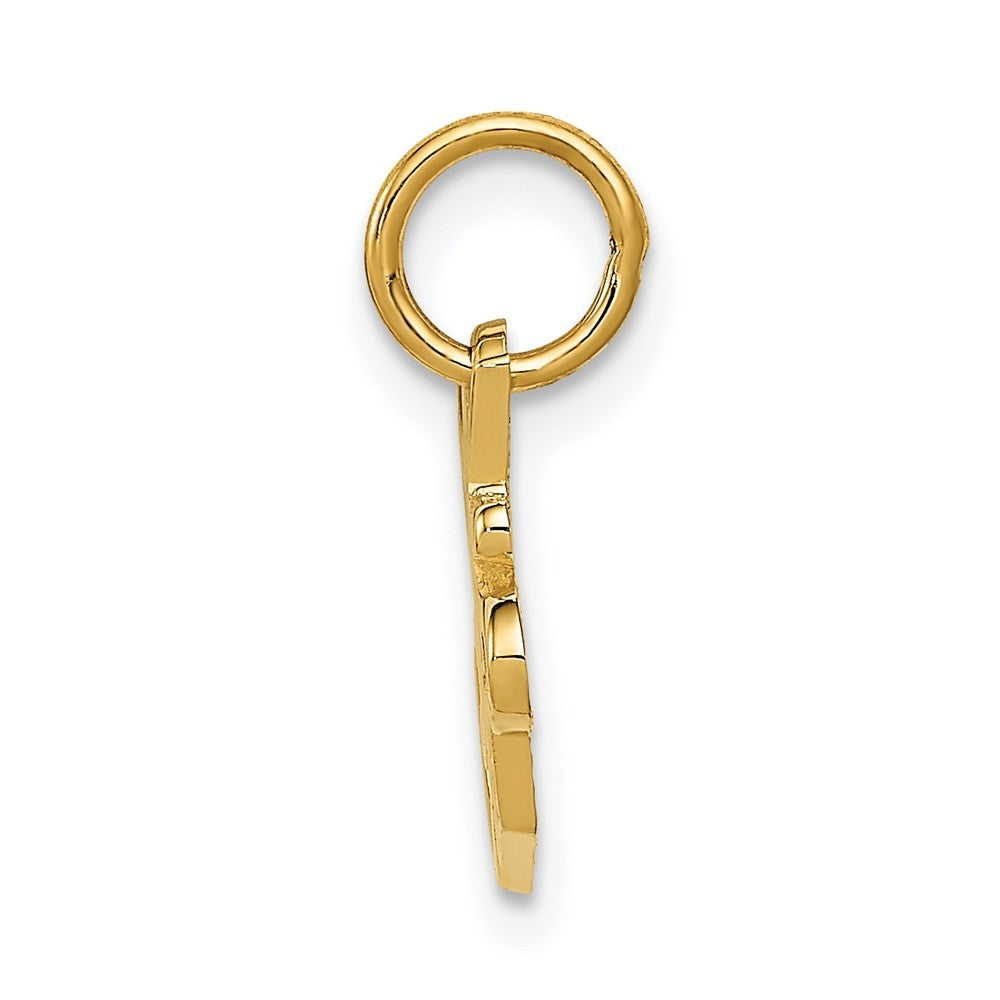 14k Yellow Gold SPECIAL SISTER Charm