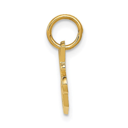 14k Yellow Gold SPECIAL SISTER Charm