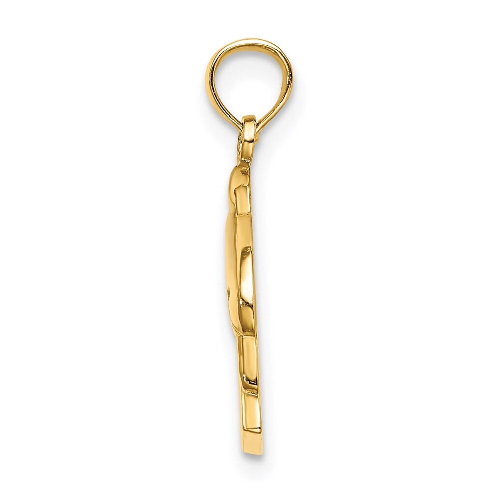 14k Yellow Gold 2-D CURACAO Under Polished Dolphin Charm Pendant for Women