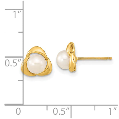 14k Yellow Gold 5-6mm White Button Freshwater Cultured Pearl Stud Earrings