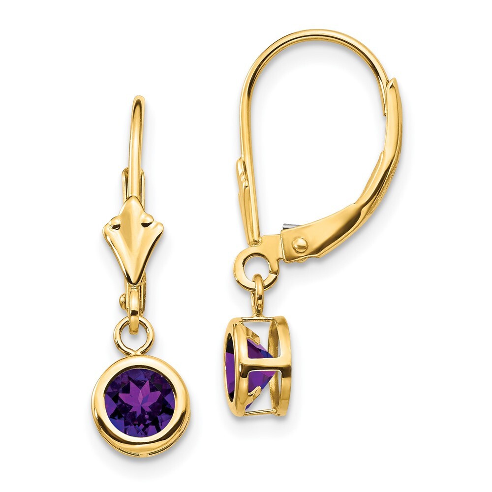 14k Yellow Gold 5mm Amethyst Leverback Earring Gift for Women