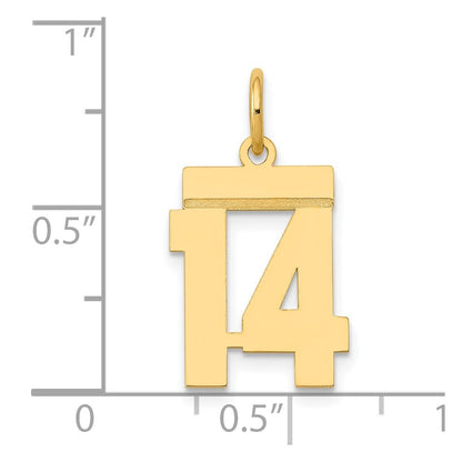 14k Yellow Gold Small Polished Number 14 Charm Pendant for Women