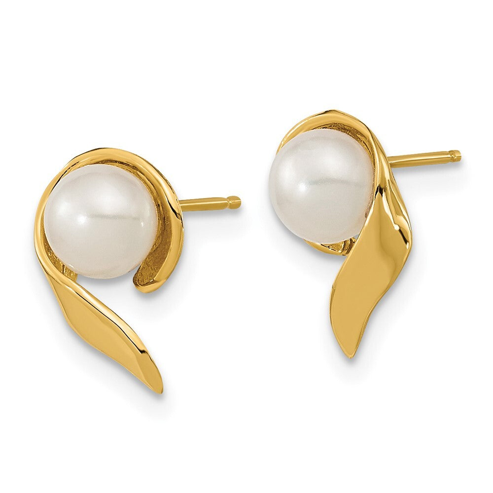 14k Yellow Gold 5-6mm White Button Freshwater Cultured Pearl Stud Earrings