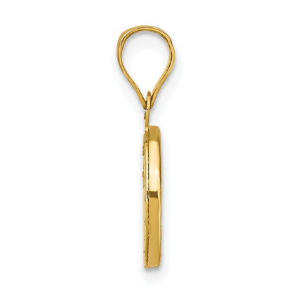 14k Yellow Gold Rose and White Rhodium Polished CZ Mary Round Pendant