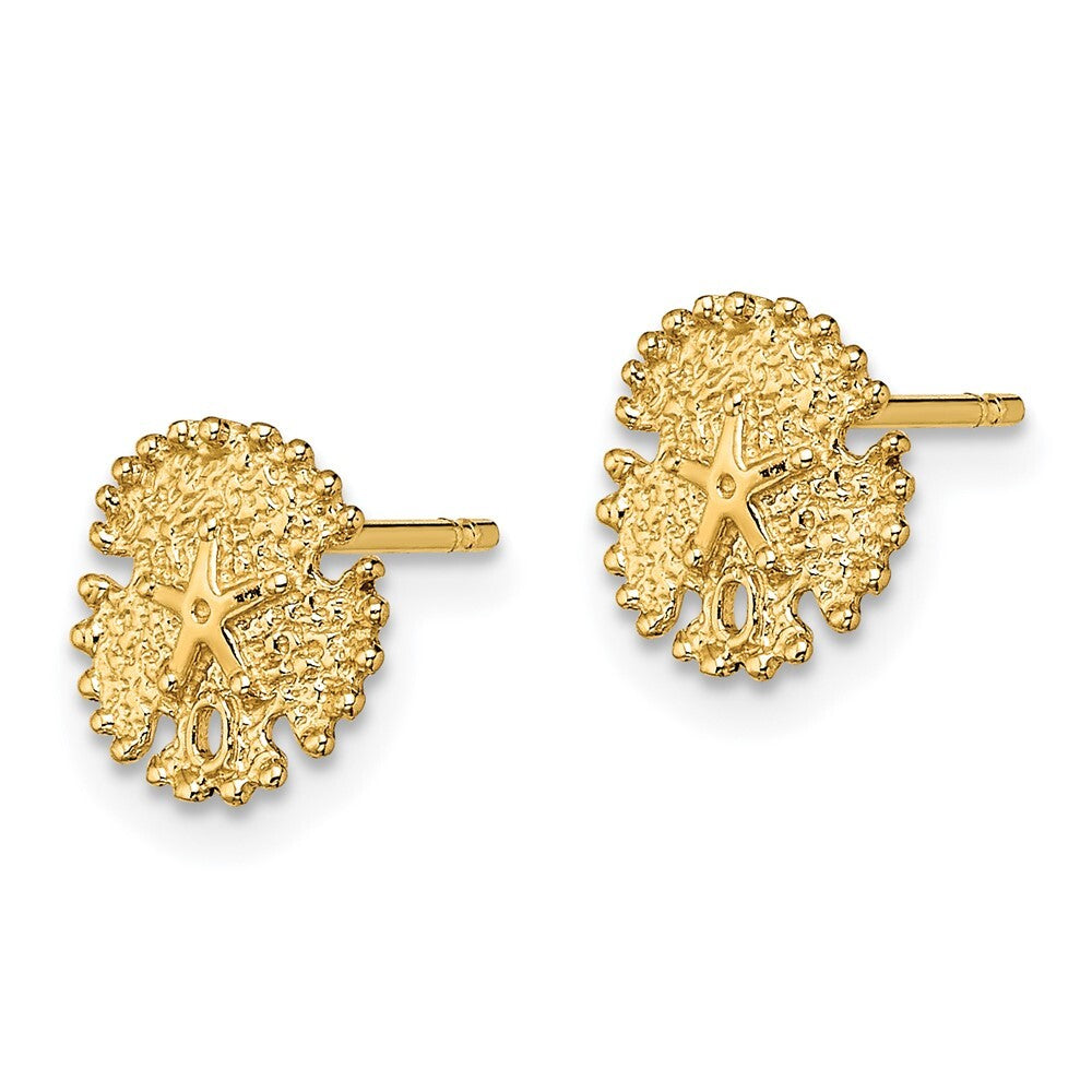 14k Yellow Gold Textured Sand Dollar Stud Earrings Gift for Women