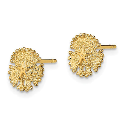 14k Yellow Gold Textured Sand Dollar Stud Earrings Gift for Women