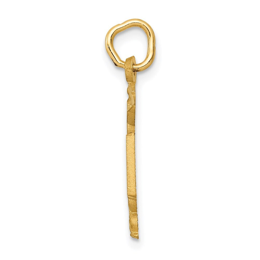 14k Yellow Gold RN Nurse Charm Pendant for Women