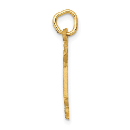 14k Yellow Gold RN Nurse Charm Pendant for Women