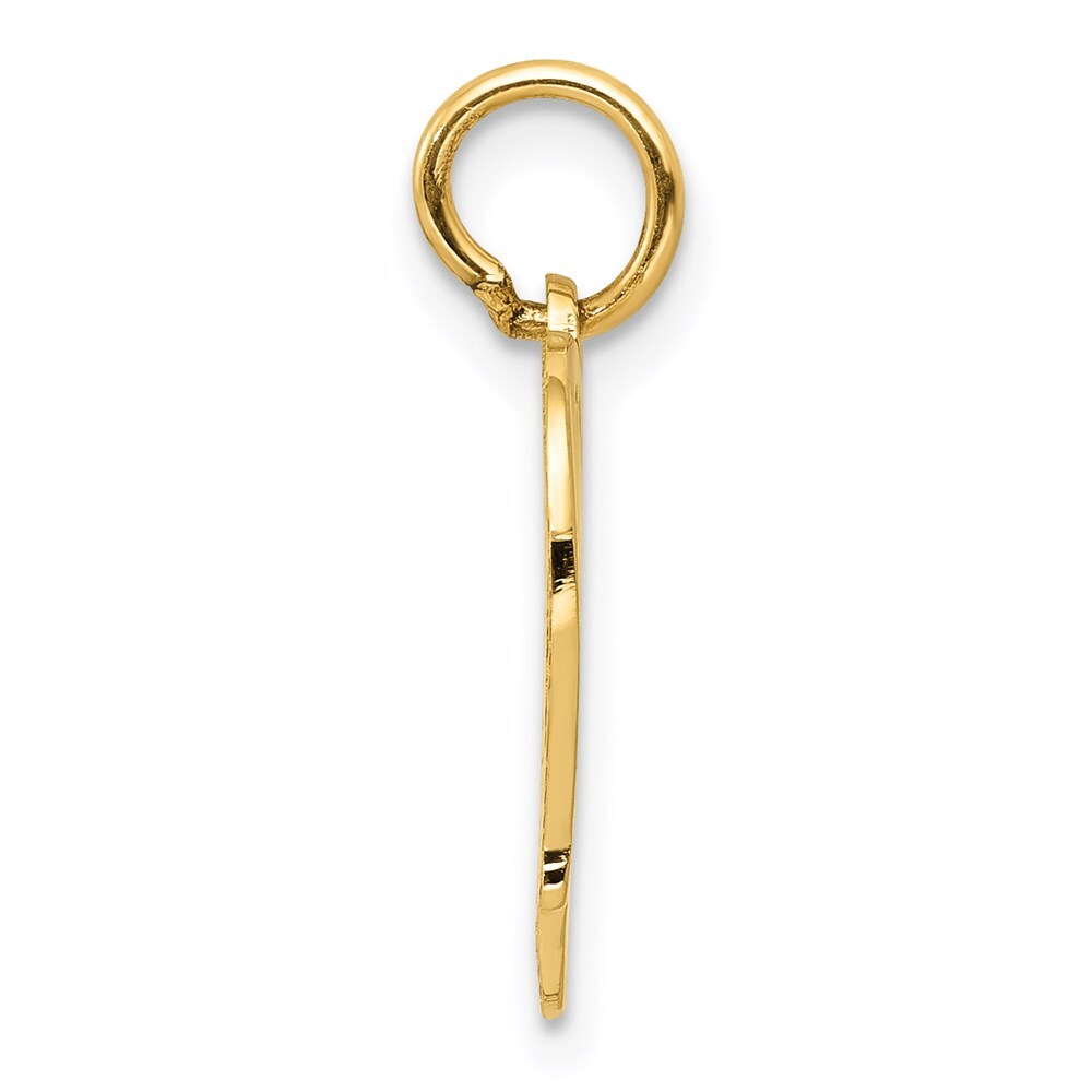 14k Yellow Gold Peace Bird Charm Pendant for Women